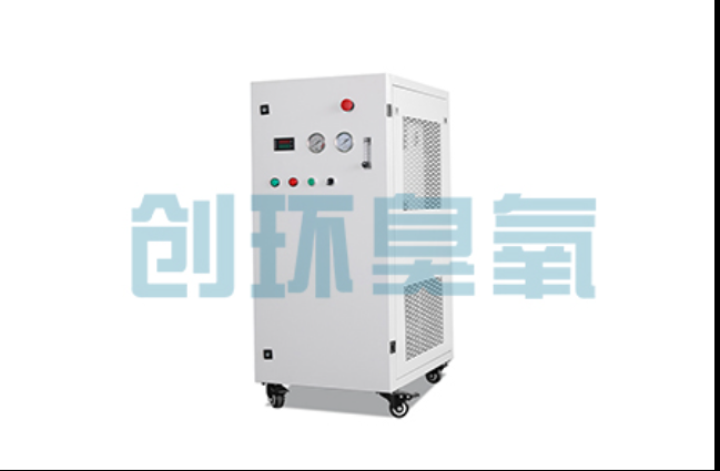 朔州工厂化养鲈必看：2026年臭氧发生器替代传统消毒的最新方案