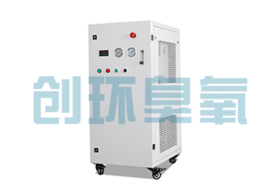 朔州石斑鱼养殖水质调控完整指南：臭氧发生器配置与操作步骤