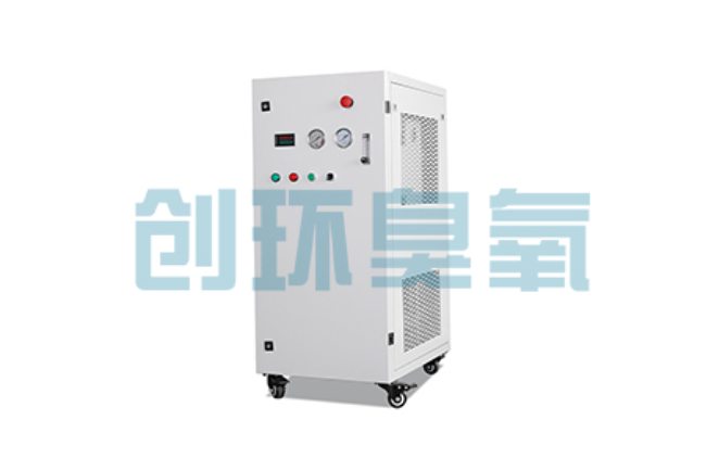 朔州比传统换水更高效？臭氧发生器在石斑鱼养殖中的水质净化原理解析