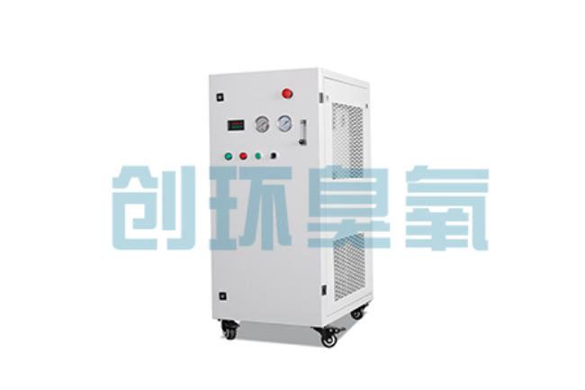朔州比传统换水更高效?臭氧发生器在石斑鱼养殖中的水质净化原理解析